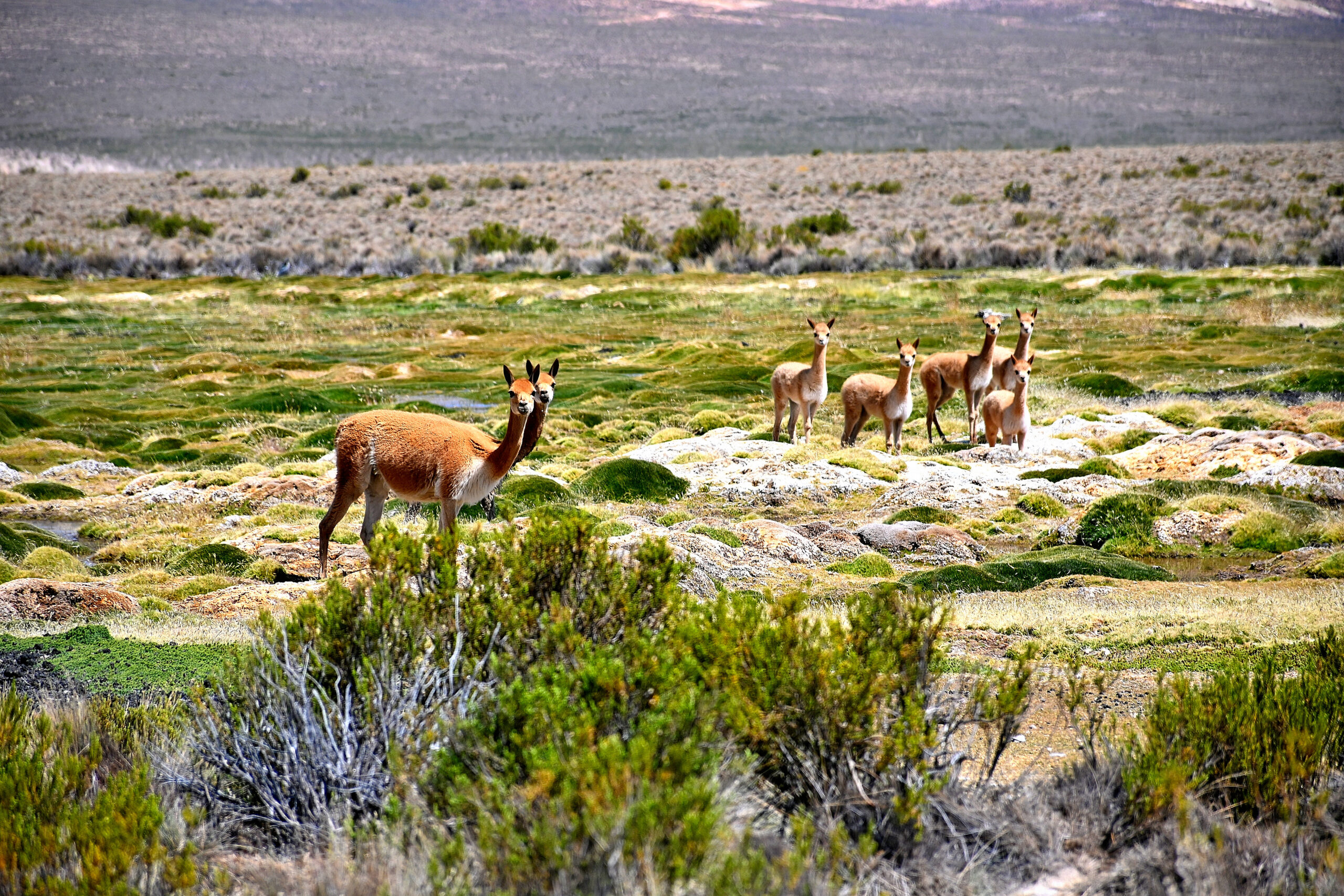 Destination Planning and Stewardship